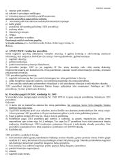 Pagrindiniai tarptautinės teisės principai 13 puslapis