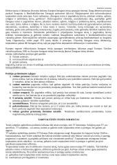 Pagrindiniai tarptautinės teisės principai 15 puslapis