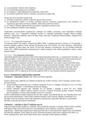 Pagrindiniai tarptautinės teisės principai 18 puslapis