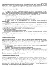 Pagrindiniai tarptautinės teisės principai 4 puslapis