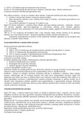 Pagrindiniai tarptautinės teisės principai 6 puslapis