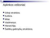 Alternatyvūs konfliktų sprendimo ir valdymo būdai 20 puslapis