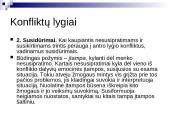 Konfliktų studijų pagrindai  20 puslapis