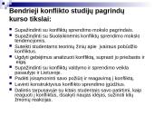 Konfliktų studijų pagrindai  3 puslapis
