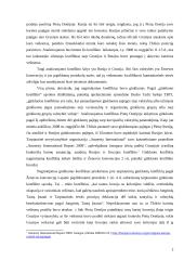 Rusijos ir Gruzijos konflikto analizė 2 puslapis