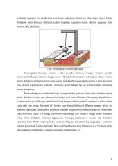 Straipsnio analizė: didelių žemės drebėjimų modeliavimas 5 puslapis
