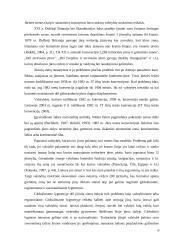 Kontinentinio šelfo delimitavimas tarptautinėje jūrų teisėje 19 puslapis