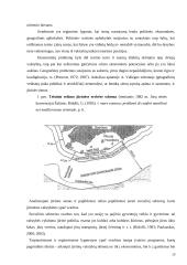 Kontinentinio šelfo delimitavimas tarptautinėje jūrų teisėje 20 puslapis