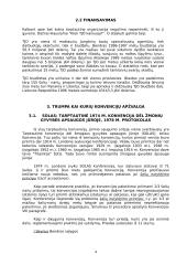 Tarptautinių konvencijų analizė 4 puslapis