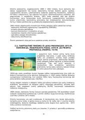 Tarptautinių konvencijų analizė 10 puslapis