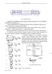 Inžinerinė grafika 6 puslapis