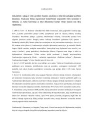 Tarptautinės viešosios teisės rašto darbas 2 puslapis