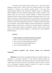 Tarptautinės viešosios teisės rašto darbas 3 puslapis