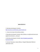 Indijos ir Pakistano konfliktas. Kašmyro problema 11 puslapis