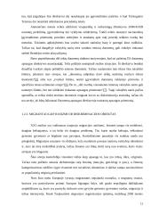 Rasinė diskriminacija teisiniu požiūriu 11 puslapis