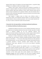 Rasinė diskriminacija teisiniu požiūriu 12 puslapis