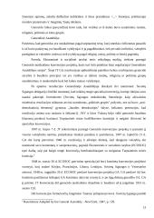 Rasinė diskriminacija teisiniu požiūriu 13 puslapis