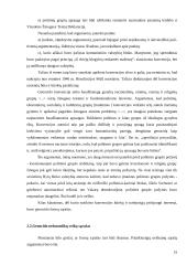 Rasinė diskriminacija teisiniu požiūriu 15 puslapis