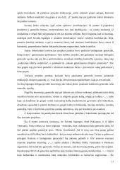 Rasinė diskriminacija teisiniu požiūriu 17 puslapis