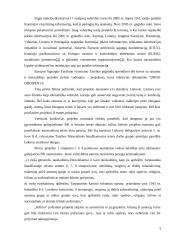 Rasinė diskriminacija teisiniu požiūriu 5 puslapis