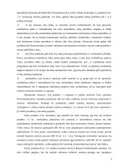 Rasinė diskriminacija teisiniu požiūriu 6 puslapis