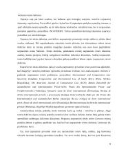 Tarptautinis paprotys kaip tarptautinės teisės šaltinis 6 puslapis