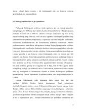 Tranzitas Kaliningrade 7 puslapis