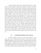 Vidutinis mėnesinis darbo užmokestis Lietuvos regionuose 19 puslapis