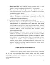 Vidutinis mėnesinis darbo užmokestis Lietuvos regionuose 6 puslapis