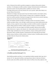 Trečiųjų šalių dalyvavimas reguliuojant konfliktus organizacijose 13 puslapis