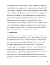 Trečiųjų šalių dalyvavimas reguliuojant konfliktus organizacijose 14 puslapis