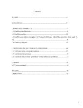 Trečiųjų šalių dalyvavimas reguliuojant konfliktus organizacijose 3 puslapis