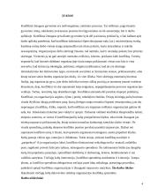 Trečiųjų šalių dalyvavimas reguliuojant konfliktus organizacijose 4 puslapis