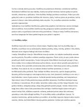 Trečiųjų šalių dalyvavimas reguliuojant konfliktus organizacijose 10 puslapis