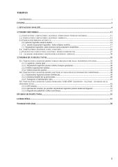 Tarptautinės logistikos kaštų paskirstymas 2 puslapis