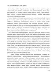 Tarptautinės logistikos kaštų paskirstymas 18 puslapis