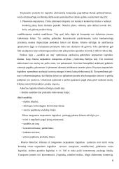 Tarptautinės logistikos kaštų paskirstymas 8 puslapis