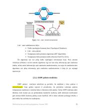 Telekomunikacijos. Maršrutizacijos protokolų palyginimas 15 puslapis
