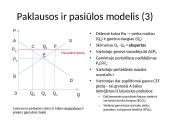 Tarptautinė prekyba pristatymas 11 puslapis