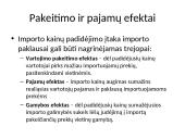 Tarptautinė prekyba pristatymas 18 puslapis