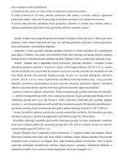 Tarptautinės teisės uždavinys - šeimos pavardės išsaugojimas 6 puslapis