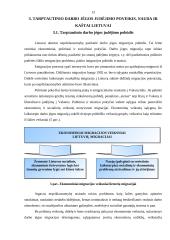 Tarptautinio darbo jėgos judėjimo poveikis, nauda ir kaštai Lietuvai 13 puslapis