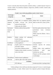 Tarptautinio darbo jėgos judėjimo poveikis, nauda ir kaštai Lietuvai 18 puslapis