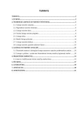 Civilinio kodekso teisės normų reikalavimai atsispindėjimas šioje nagrinėjamoje lizingo sutartyje