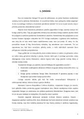 Civilinio kodekso teisės normų reikalavimai atsispindėjimas šioje nagrinėjamoje lizingo sutartyje 2 puslapis