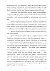 Civilinio kodekso teisės normų reikalavimai atsispindėjimas šioje nagrinėjamoje lizingo sutartyje 11 puslapis