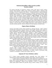 Bajoriškoji demokratija ir anarchija Abiejų Tautų Respublikoje (ATR) 6 puslapis