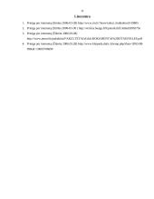 Rankpinigių kaip prievolių įvykdymo užtikrinimo priemonės analizė 11 puslapis