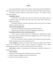 Rankpinigių kaip prievolių įvykdymo užtikrinimo priemonės analizė 3 puslapis