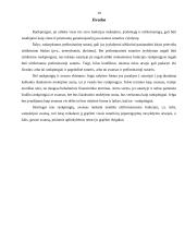 Rankpinigių kaip prievolių įvykdymo užtikrinimo priemonės analizė 10 puslapis